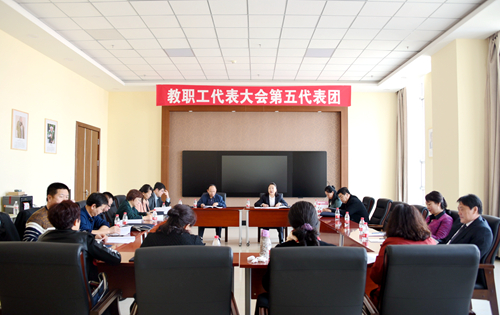 第五代表团讨论现场