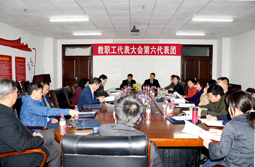 第六代表团讨论现场